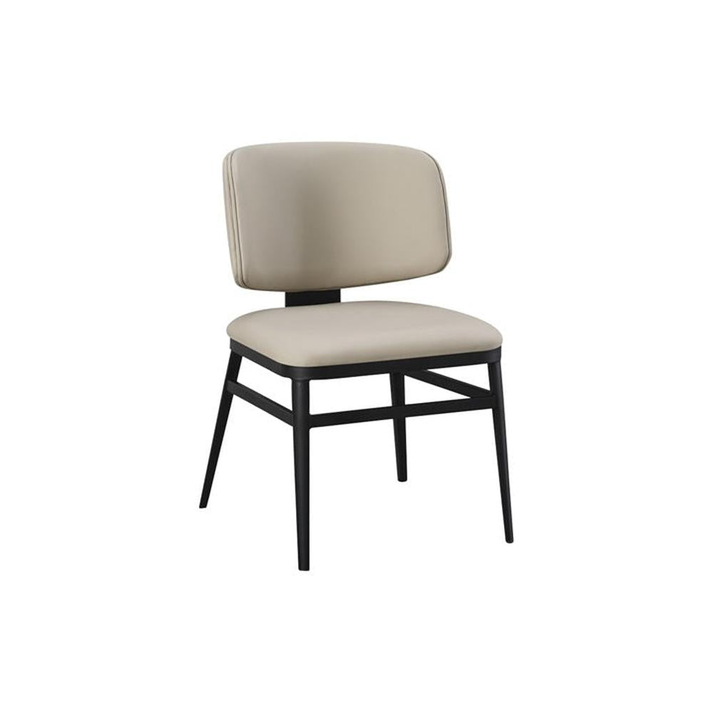 Contemporary Indoor Modern Metal Upholstered Dining Side Chair